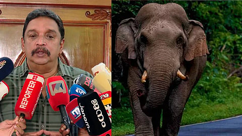 Forest Department is responsible if wildlife is killed in an attack