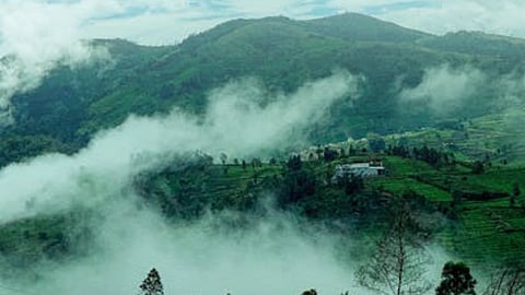 ഇടുക്കി