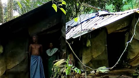 A tribal group in Kottampara dreams of a piece of land