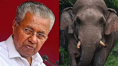 "സർക്കാർ മാറിയത് ആന അറിഞ്ഞില്ലായെന്നത് മറുപടിയല്ല";ഫലപ്രദമായ നടപടികൾ  സ്വീകരിക്കണമെന്ന് പ്രതിപക്ഷ നേതാവ് 