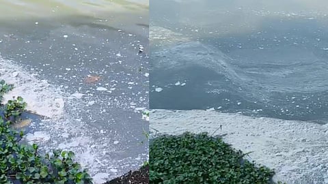Chemical waste in Periyar