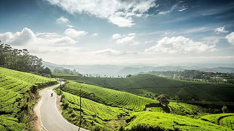 Hill people of Wayanad oppose new draft notification on environmentally sensitive areas