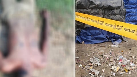 Mob killing in Palakkad