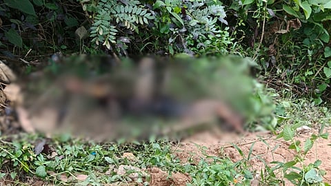 അരുംകൊല! ഇടുക്കിയിൽ 18കാരിയെ കൊന്ന് കത്തിച്ച് 19കാരൻ