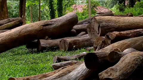 Permission granted to cut trees on land held under a title deed has been withdrawn