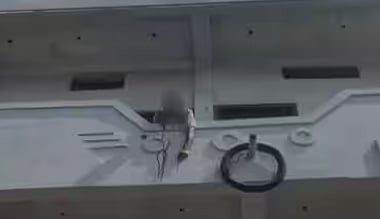 MP Man Dies of Electrocution After Spitting Gutkha Onto 11kV Power Line