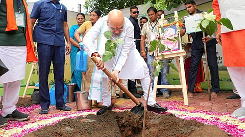 ഇൻഡോറിൽ അമിത് ഷാ തൻ്റെ അമ്മയുടെ പേരിൽ മരം നടുന്നു