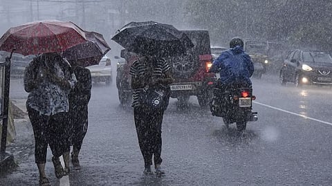 അതിതീവ്ര കാലവർഷം; വയനാട് ജില്ലയിൽ മഴക്കെടുതി രൂക്ഷം, വിവിധ ജില്ലകളിൽ ദുരിതാശ്വാസ ക്യാമ്പുകൾ തുറന്നു