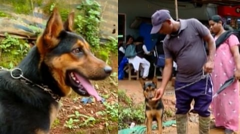 ദുരന്തത്തില്‍ കാണാതായ യജമാനനെ തേടി ആ മിണ്ടാപ്രാണി; ഏറ്റെടുത്ത് സ്വന്തം വീട്ടിലെത്തിച്ച് കൃഷ്ണന്‍കുട്ടി