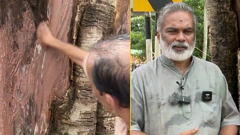 ആയുർവേദത്തിലൂടെ മരങ്ങൾക്ക് പുതുജന്മം; വ്യത്യസ്തനായ ഒരു പ്രകൃതി സ്നേഹിയുടെ കഥ