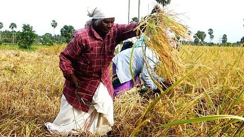 ഇന്ന് ചിങ്ങം 1, ഇനി കൊല്ലവർഷം 1200 ; അതിജീവനത്തിന്‍റെ പാതയില്‍  പുതുവർഷത്തിനായി ഒരുങ്ങി മലയാളം