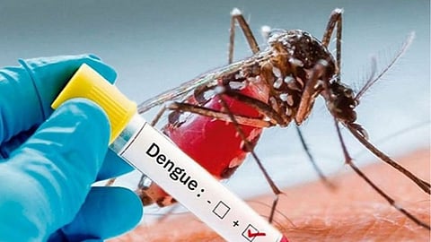 സംസ്ഥാനത്ത് വീണ്ടും ഡെങ്കിപ്പനി മരണം;  മരിച്ചത് കൊച്ചി മരട് സ്വദേശിനി മേരി സാൻ്റിയ