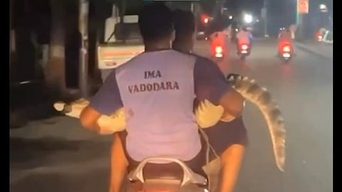 VIDEO | ഗുജറാത്തില്‍ മുതലയുമായി ബൈക്ക് സവാരി; രക്ഷാപ്രവർത്തകരുടെ വീഡിയോ വൈറല്‍