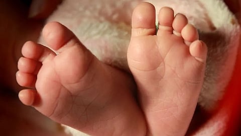 new born baby found dead