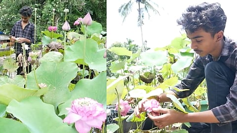 പഠനത്തോടൊപ്പം താമര കൃഷി ചെയ്യുന്ന കുട്ടി കർഷകൻ; നേടുന്നത് വമ്പൻ വരുമാനം