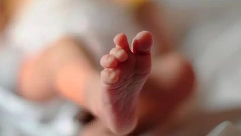 ചേർത്തലയിലെ നവജാത ശിശുവിൻ്റെ കൊലപാതകം പിതൃത്വവുമായി ബന്ധപ്പെട്ട തർക്കമെന്ന് സൂചന;  ഡിഎൻഎ പരിശോധന ഫലം നിർണായകം