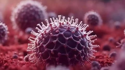 നിപ ഭീതിയില്‍ മലപ്പുറം: സമ്പര്‍ക്ക പട്ടികയില്‍ കൂടുതല്‍ പേര്‍; 151 പേരുടെ പട്ടിക  ആരോഗ്യ വകുപ്പ്