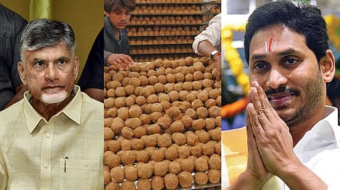 തിരുപ്പതി ലഡു ഉണ്ടാക്കാൻ  മൃഗക്കൊഴുപ്പ് ഉപയോഗിച്ചതായി ആരോപണം; ജഗൻ മോഹൻ റെഡ്ഡിക്കെതിരെ ആന്ധ്രാ മുഖ്യമന്ത്രി