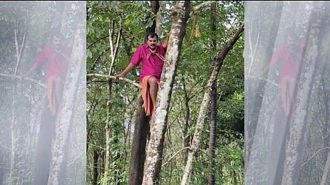 കണ്ണൂരില്‍ കാട്ടുപന്നി കൃഷി നശിപ്പിച്ചു; ജീവനൊടുക്കുമെന്ന് ഭീഷണിമുഴക്കി കർഷകന്‍