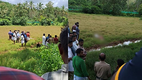 പാടത്ത് വൈദ്യുത വേലിയിൽ നിന്ന് ഷോക്കേറ്റ് സഹോദരങ്ങൾ മരിച്ചു