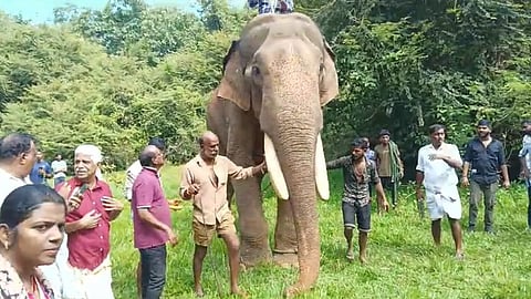 ഇനി വിശ്രമമാകാം; പുതുപ്പള്ളി സാധുവിനെ തിരികെ നാട്ടിൽ എത്തിച്ചു
