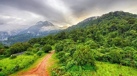 അട്ടപ്പാടിയിൽ  കുന്നിടിച്ച് നിരത്തല്‍ വ്യാപകം; റവന്യൂ അധികൃതരുടെ ഒത്താശയോടെയെന്ന് പരാതി