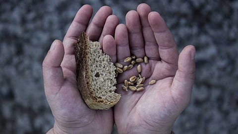 ആഗോള പട്ടിണി സൂചിക 2024: 127 രാജ്യങ്ങളില്‍ ഇന്ത്യ 105-ാമത്