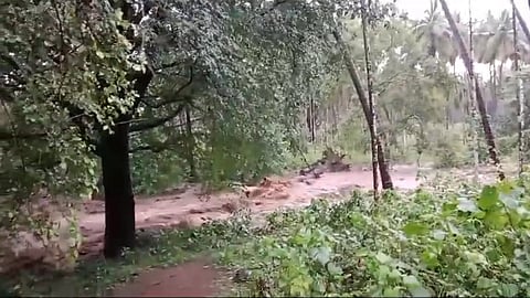 മലമ്പുഴയിൽ ഉരുൾപ്പൊട്ടിയതായി സംശയം; കല്ലമ്പുഴയിൽ ജലനിരപ്പ് ഉയർന്നു