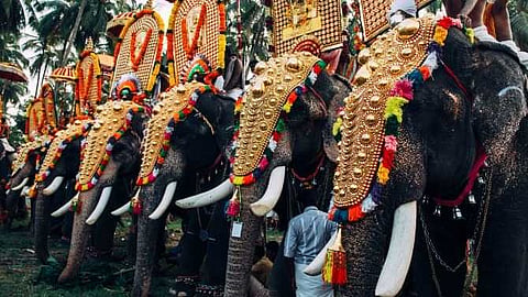 ഉത്സവങ്ങൾക്കും ആഘോഷങ്ങൾക്കും തിരിച്ചടിയെന്ന് ആരോപണം; ആനയെഴുന്നള്ളിപ്പിലെ കോടതി മാര്‍ഗരേഖയ്ക്കെതിരെ പ്രതിഷേധം ശക്തം