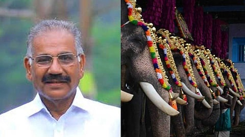 ആന എഴുന്നള്ളിപ്പ് കേരളത്തിന്റെ തനിമ, ഇത് കാണാന്‍ കൂടിയാണ് വിനോദസഞ്ചാരികള്‍ വരുന്നത്: എ.കെ. ശശീന്ദ്രന്‍