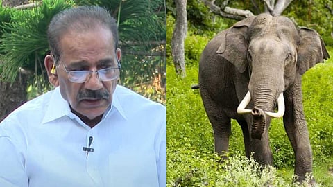 IMPACT | "വന്യജീവി ആക്രമണം തടയാൻ പ്രതിരോധ പ്രവർത്തനങ്ങൾ നടത്തും, രണ്ടു രീതിയിലുള്ള പദ്ധതികൾ കൊണ്ടുവരും";  മന്ത്രി എ.കെ ശശീന്ദ്രൻ