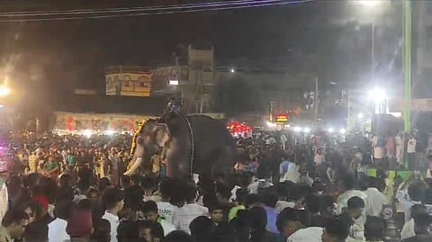 മലപ്പുറത്ത്  നേർച്ചക്കിടെ ആന ഇടഞ്ഞു; ഒരാളെ തുമ്പി കൈ കൊണ്ട് തൂക്കി എറിഞ്ഞു,പത്തോളം പേർക്ക്  പരുക്ക്