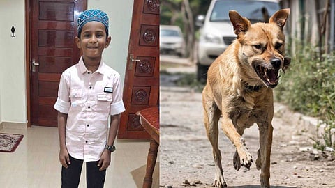 മുഹമ്മദ്‌ ഫസലിന് വിട നൽകി നാട്; തെരുവുനായയെ കണ്ട് ഭയന്നോടി കിണറിൽ വീണ് മരിച്ച കുട്ടിയുടെ മൃതദേഹം സംസ്കരിച്ചു