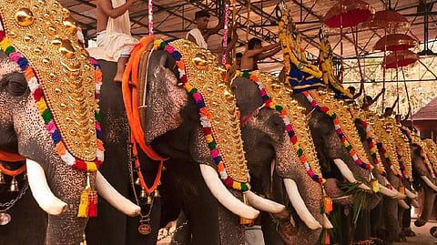 ചട്ടങ്ങള്‍ പാലിച്ച് ആന എഴുന്നള്ളിപ്പ് നടത്താമെന്ന് സുപ്രീം കോടതി; സ്റ്റേ നീക്കണമെന്ന ആവശ്യം തള്ളി