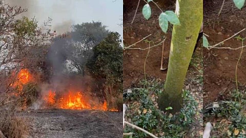 പഞ്ചായത്ത് വൈസ് പ്രസിഡന്റും സംഘവും നിധി തേടി കുഴിയെടുത്തു; പിന്നാലെ കോട്ടയ്ക്കുള്ളില്‍ തീപിടിത്തം