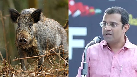 "മൃഗത്തിന് വേദനിച്ചാല്‍ നാട്ടിലേക്ക് ഇറങ്ങില്ല, കൃഷിക്കാര്‍ക്ക് വെടിവെക്കാനുള്ള അവകാശം നല്‍കണം": റോജി എം. ജോണ്‍ എംഎല്‍എ
