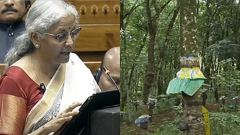 'റബർ എന്ന വാക്കുപോലും ബജറ്റിൽ ഉണ്ടായിരുന്നില്ല'; കേന്ദ്ര അവഗണനയില്‍ പ്രതിഷേധിച്ച് കർഷകർ