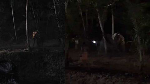 ആലപ്പുഴ പെരുമ്പളത്ത് ക്ഷേത്ര ഉത്സവത്തിനിടെ ആനയിടഞ്ഞു, ക്ഷേത്രം ശാന്തി ആനപ്പുറത്ത് കുടുങ്ങി; ആനയെ തളയ്ക്കാനായില്ല