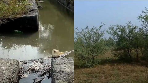 എലപ്പുള്ളി മദ്യനിർമാണ പ്ലാന്‍റ്: ഭൂമി തരംമാറ്റാൻ ഒയാസിസ് നൽകിയ അപേക്ഷ തള്ളി റവന്യൂ വകുപ്പ്