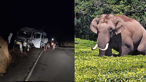 ഇടുക്കിയില്‍ വീണ്ടും പടയപ്പയുടെ ആക്രമണം; സിനിമാ ചിത്രീകരണത്തിനെത്തിയ ടെമ്പോ ട്രാവലര്‍ തകര്‍ത്ത് ഒറ്റക്കൊമ്പന്‍