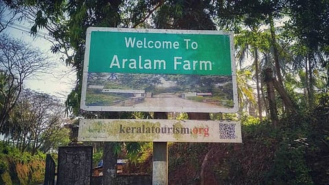 13.5 കിലോമീറ്റർ പ്രഖ്യാപിച്ച ആനമതിൽ പൂർത്തിയായിട്ടില്ല; സ്വകാര്യ വത്കരണ നീക്കം ശക്തമാകുമ്പോഴും ദുസ്സഹമായി ആറളം ഫാം നിവാസികളുടെ ജീവിതം