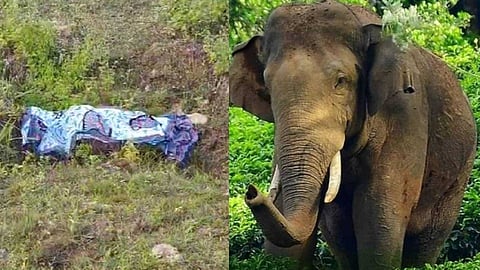 കാട്ടാനക്കലിയില്‍ വീണ്ടും മരണം; വയനാട് നൂല്‍പ്പുഴയില്‍ യുവാവ് കൊല്ലപ്പെട്ടു: ആക്രമണം കടയില്‍ പോയി മടങ്ങുന്ന വഴി