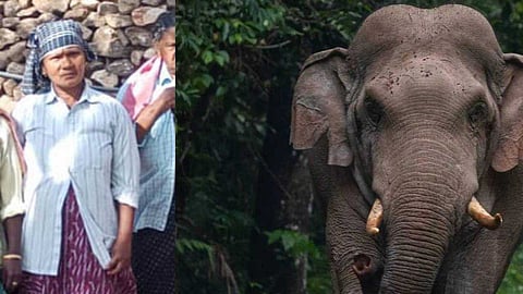 ഇടുക്കിയില്‍ കാട്ടാന ആക്രമണത്തില്‍ കൊല്ലപ്പെട്ട സോഫിയയുടെ ഖബറടക്കം ഇന്ന്; കുടുംബത്തിന് 10 ലക്ഷം രൂപ ധനസഹായം നല്‍കും