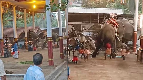 കോഴിക്കോട് കൊയിലാണ്ടിയില്‍ ക്ഷേത്രത്തില്‍ ഉത്സവത്തിനിടെ ആനയിടഞ്ഞു, മൂന്ന്  പേര്‍ മരിച്ചു; നിരവധി പേര്‍ക്ക് പരിക്ക്