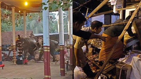 കൊയിലാണ്ടിയില്‍ ആനകളിടഞ്ഞ സംഭവം: ഇടപെട്ട്  ഹൈക്കോടതി; ഗുരുവായൂര്‍ ദേവസ്വത്തോടും വനം വകുപ്പിനോടും വിശദീകരണം തേടി