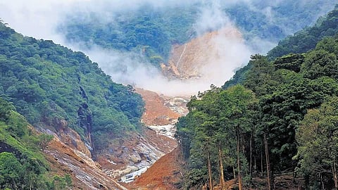 വയനാട് പുനരധിവാസം: കേന്ദ്ര വായ്പാ വിനിയോഗത്തിൽ പദ്ധതികൾ സമര്‍പ്പിക്കാന്‍ നിര്‍ദ്ദേശം