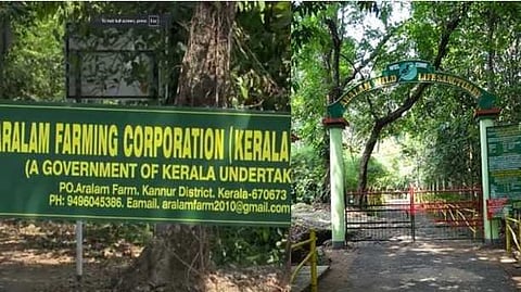 BIG IMPACT | ആറളം ഫാമിലെ സ്വകാര്യവത്കരണ നീക്കം ഉപേക്ഷിച്ച് സർക്കാർ; പാട്ടത്തിന് കൊടുത്ത നടപടി റദ്ദാക്കും