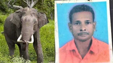 തൃശൂരിൽ 58കാരനെ കാട്ടാന ചവിട്ടിക്കൊന്നു; മരിച്ചത് താമരവെള്ളച്ചാൽ സ്വദേശി പ്രഭാകരൻ