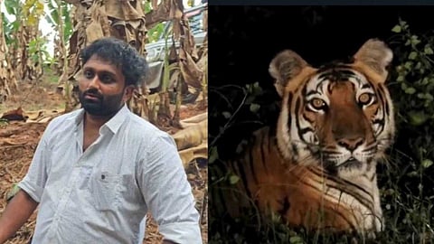 മലപ്പുറത്ത് കടുവയുടെ വ്യാജ വീഡിയോ പ്രചരിപ്പിച്ച സംഭവം; കരുവാരക്കുണ്ട് സ്വദേശി ജെറിന്‍ അറസ്റ്റില്‍