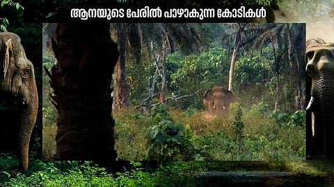 കോടികള്‍ മുടക്കിയുള്ള പദ്ധതികളെല്ലാം പാഴാകുന്നു; കാട്ടാന ഭീതിയില്‍ ജീവിതം തള്ളി നീക്കി ആറളത്തെ ജനങ്ങള്‍